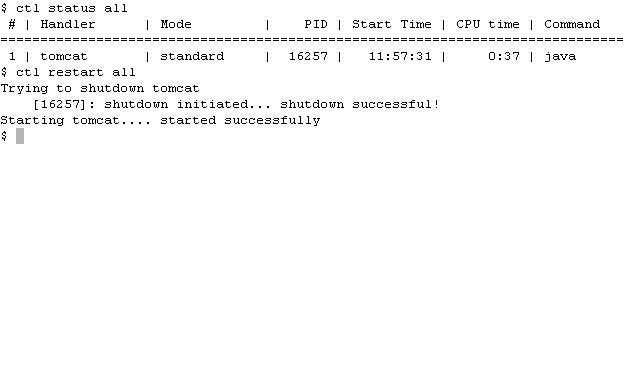 Restarting application using ctl.
