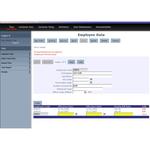 Typical zero-code data screen