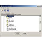 Main scanning window