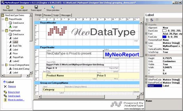 MyNeoReport Designer Main window report design