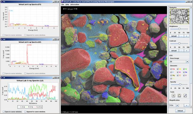 Virtual Lab Interface (viewing EDS data)